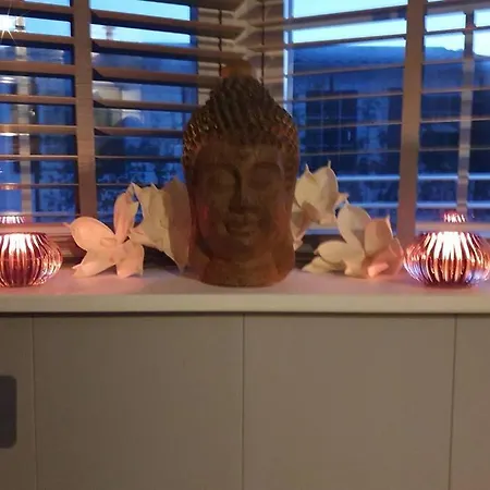 Vazonics Valkenbosch 76