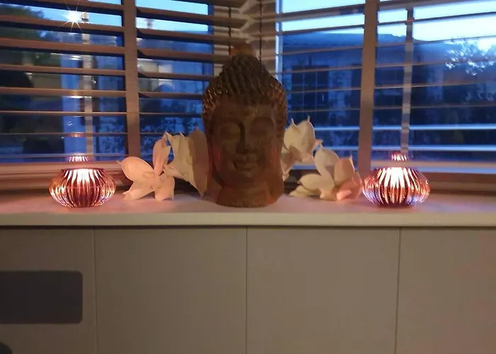 Vazonics Valkenbosch 76