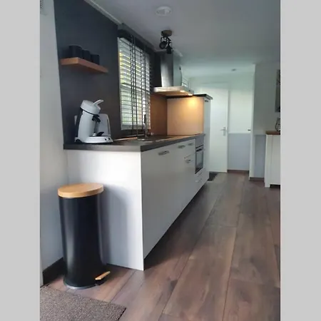 Vazonics Valkenbosch 76 오이스터위지크